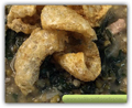 ginisang-monggo-with-chicharon-120x98