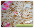 Palitaw (sesame coconut rice dessert)